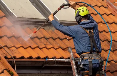 Démoussage et hydrofuge de toiture à Rioms